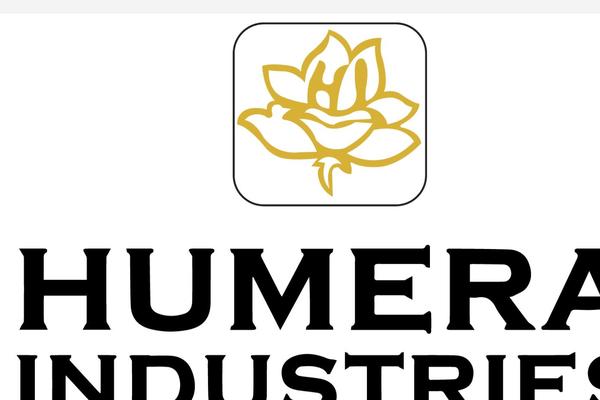 Site using Pwa-for-wp plugin