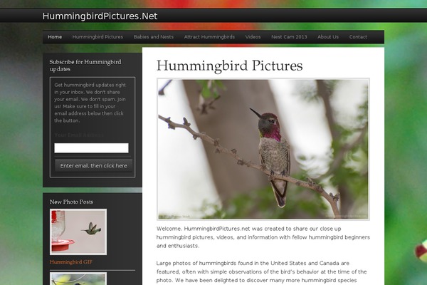 Enterprise Pro theme site design template sample