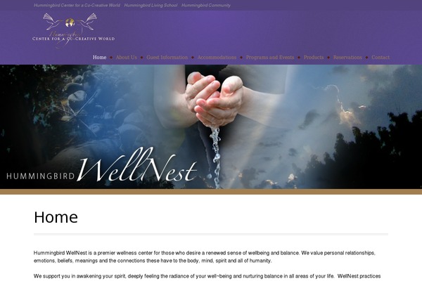 Amadeus theme site design template sample
