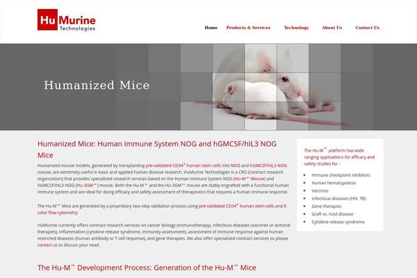 Dynamix theme site design template sample