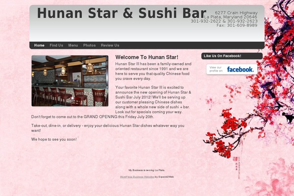 Smallbiz theme site design template sample