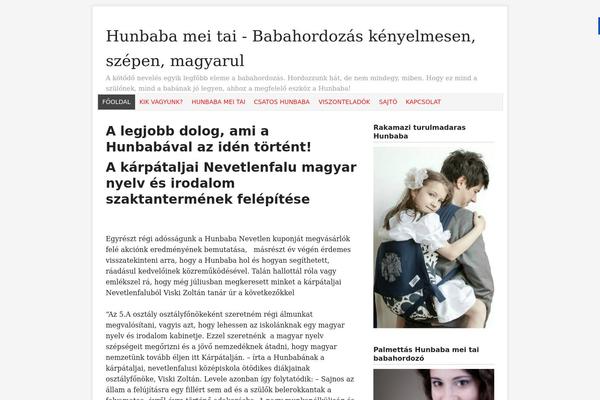 The-next-mag theme site design template sample