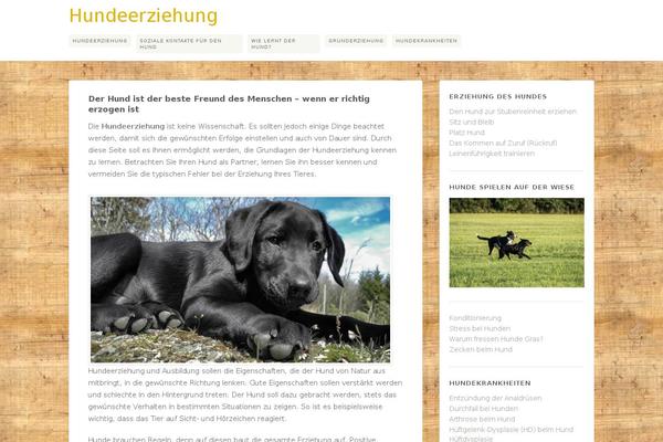 Site using Yeloni Exit Popup plugin