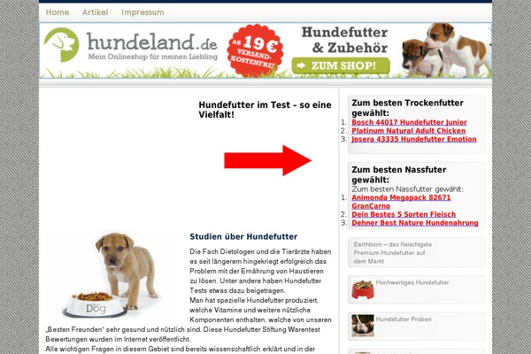 Site using WP Rocket plugin