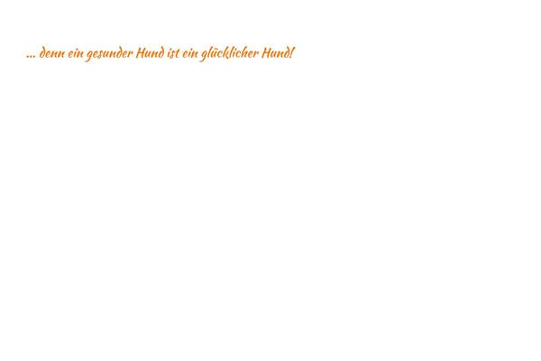 YITH Proteo theme site design template sample