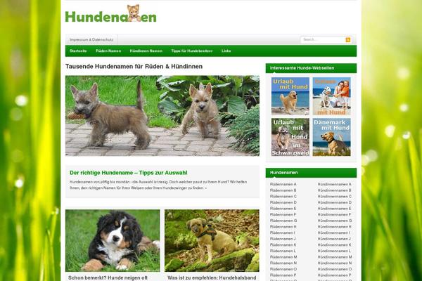 Resizable theme site design template sample