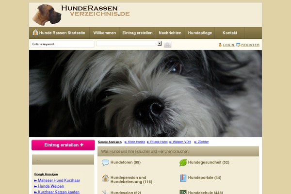 Directorypress theme site design template sample