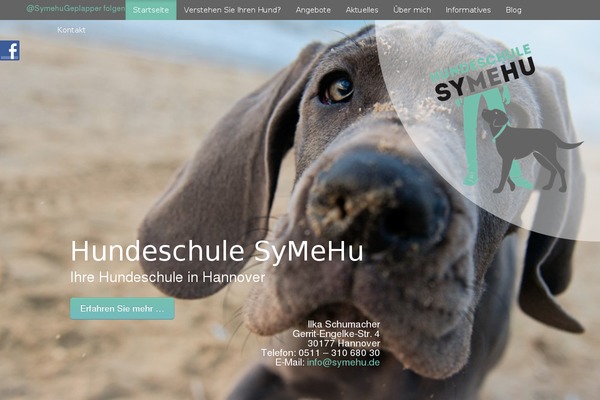 Nayma-child theme site design template sample