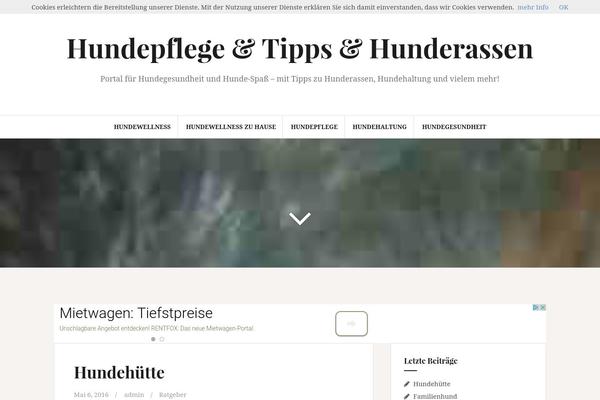 Amadeus theme site design template sample