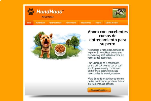 Local Business theme site design template sample