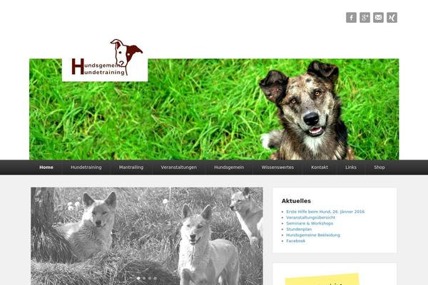 Catch Evolution theme site design template sample