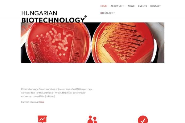 Divi theme site design template sample