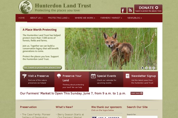 Cold theme site design template sample