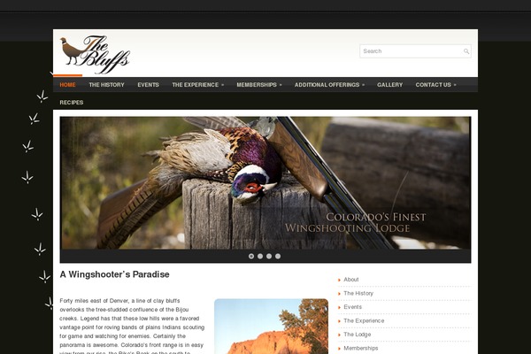 Creativity theme site design template sample