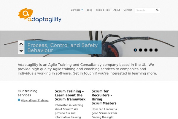 Whitelight theme site design template sample