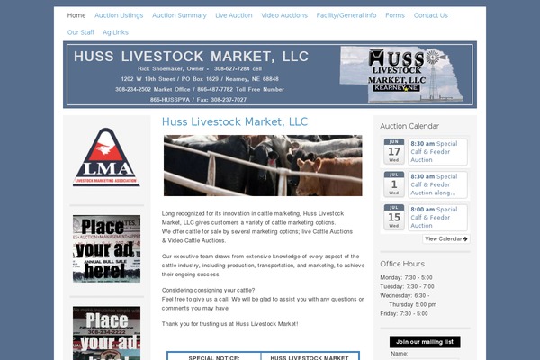 Lifestyle theme site design template sample