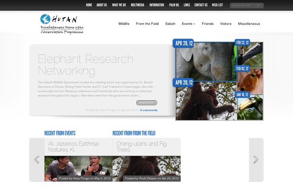DelicateNews theme site design template sample