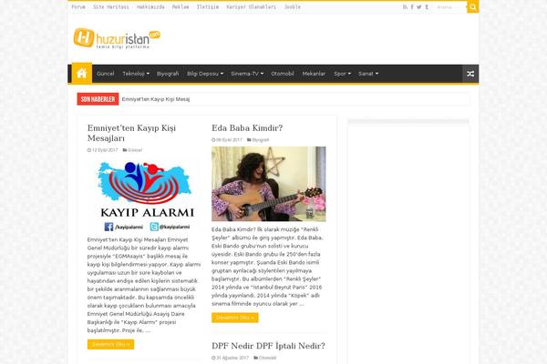 Site using WP Single Post Navigation plugin