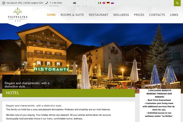 Viva_theme theme site design template sample