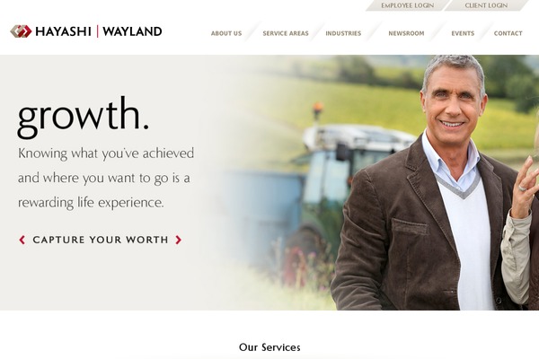 hayashi theme websites examples