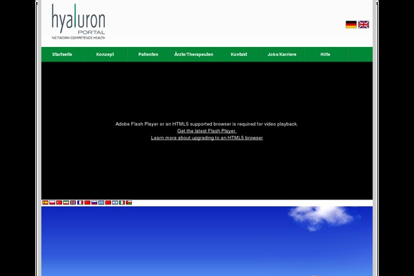 Directorypress theme site design template sample