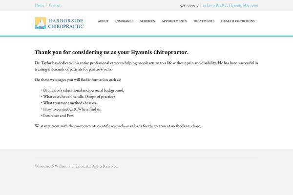 SoulMedic theme site design template sample