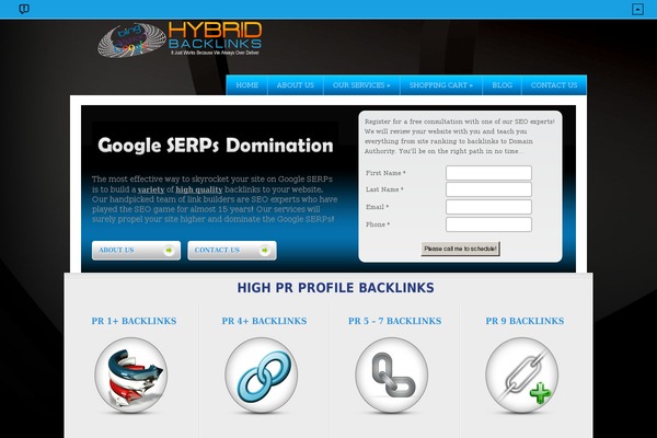 Wisebusiness theme site design template sample