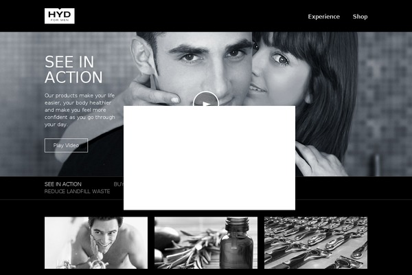 hyd theme websites examples