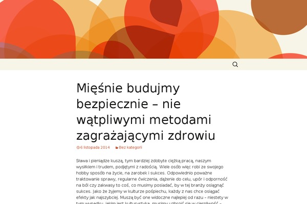 Twenty Thirteen theme site design template sample