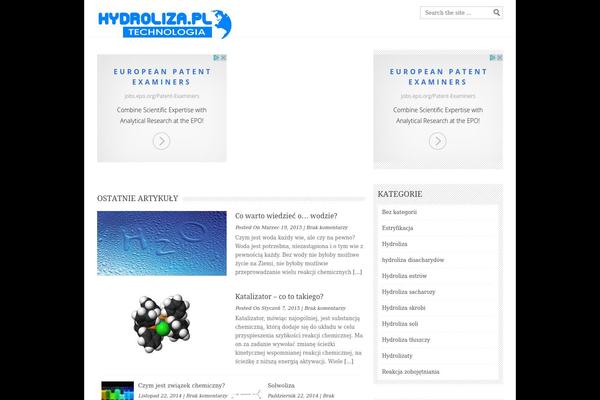 Backstreet theme site design template sample