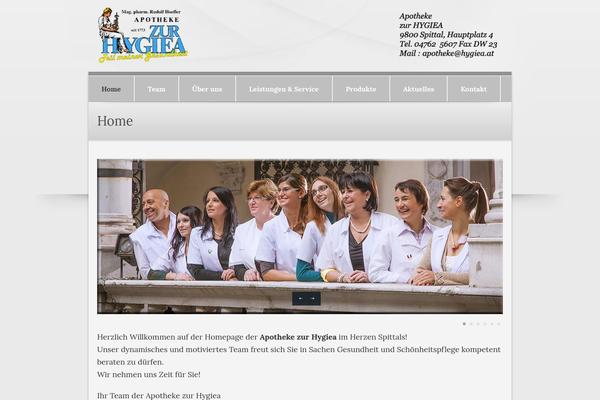 Medical Plus 1.05 theme site design template sample