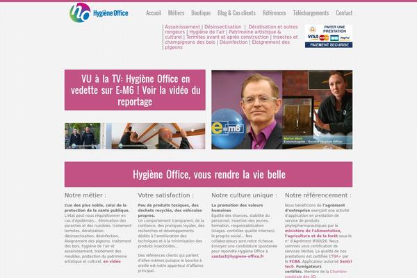 Zig Zag theme site design template sample