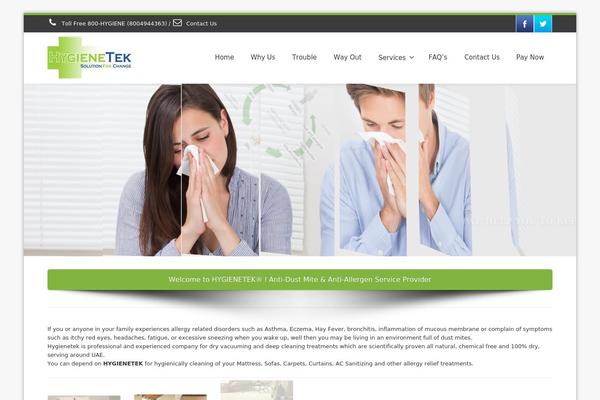Envision theme site design template sample
