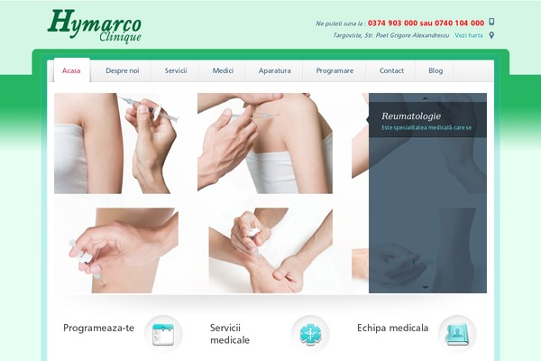 Medica theme site design template sample