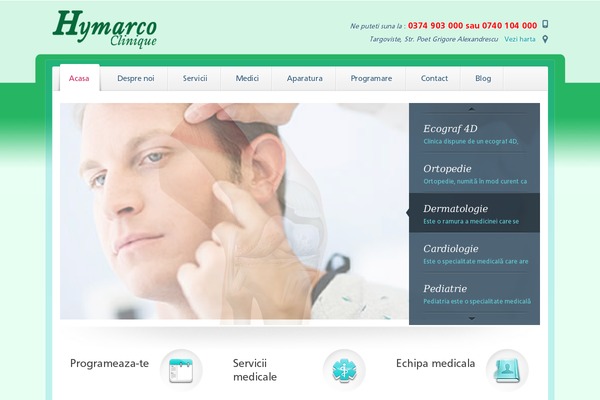 Medica theme site design template sample