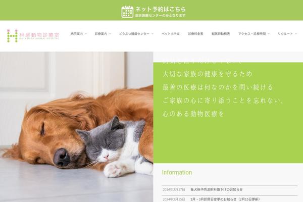 Site using Japanese-font-for-tinymce plugin