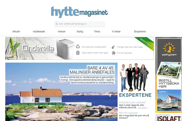 Theissue-child theme site design template sample