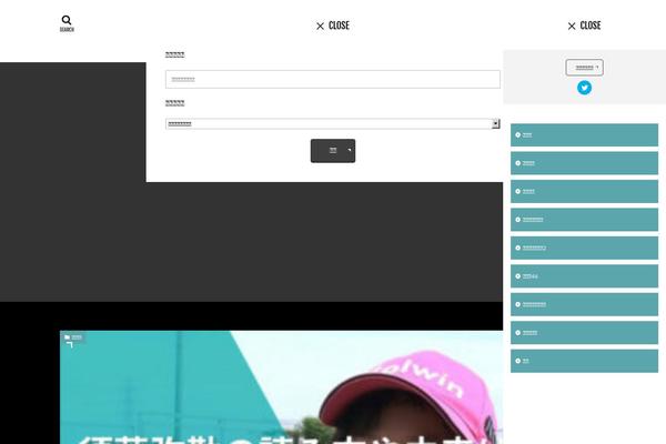 The-thor theme site design template sample