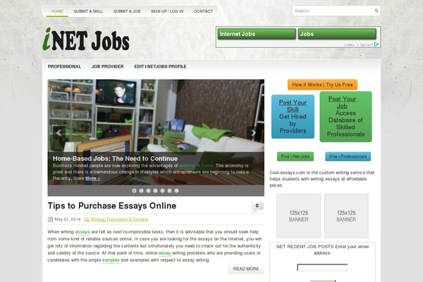 Site using Author Box Plugin With Different Description plugin