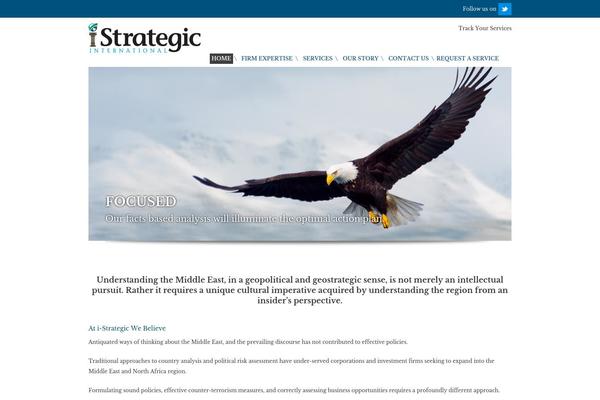 Strategic theme site design template sample