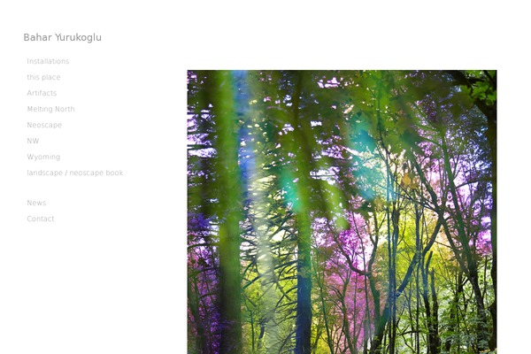 Site using Light-Wordpress-Plugin-master plugin