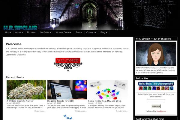 Ashe-pro-premium theme site design template sample