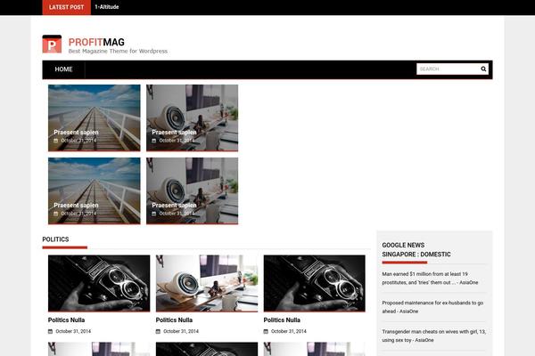 ProfitMag theme site design template sample