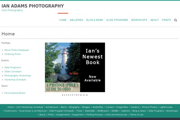Site using Responsive NextGEN Flex Slider Template plugin