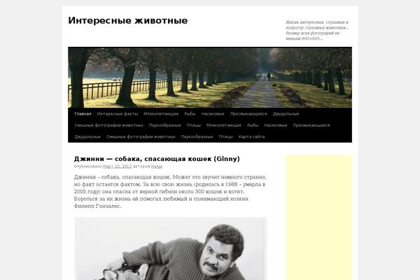 Site using Wp-yandex-metrika plugin