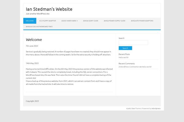 Iconic One theme site design template sample
