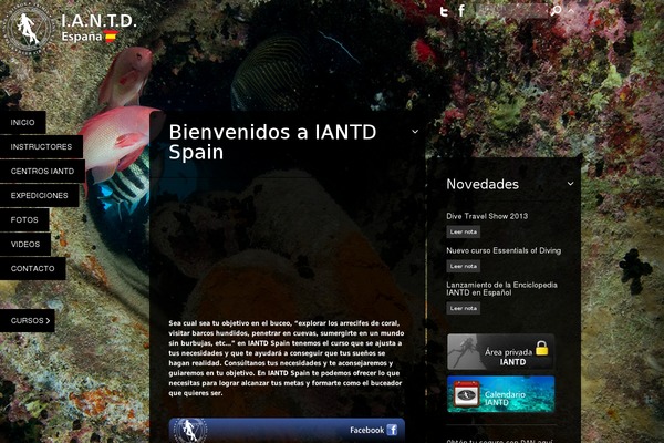 Delight theme site design template sample