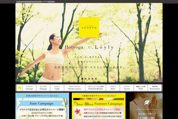 ib-luonto.com site used Luonto