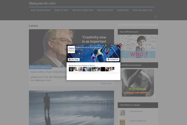 FlyMag theme site design template sample