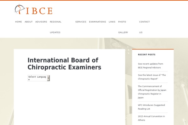 Ignite Plus theme site design template sample